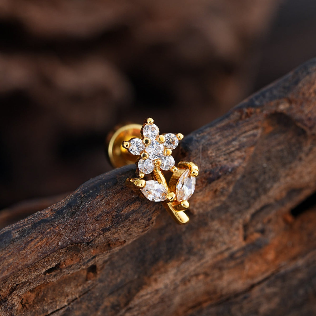 Enchanted Shine