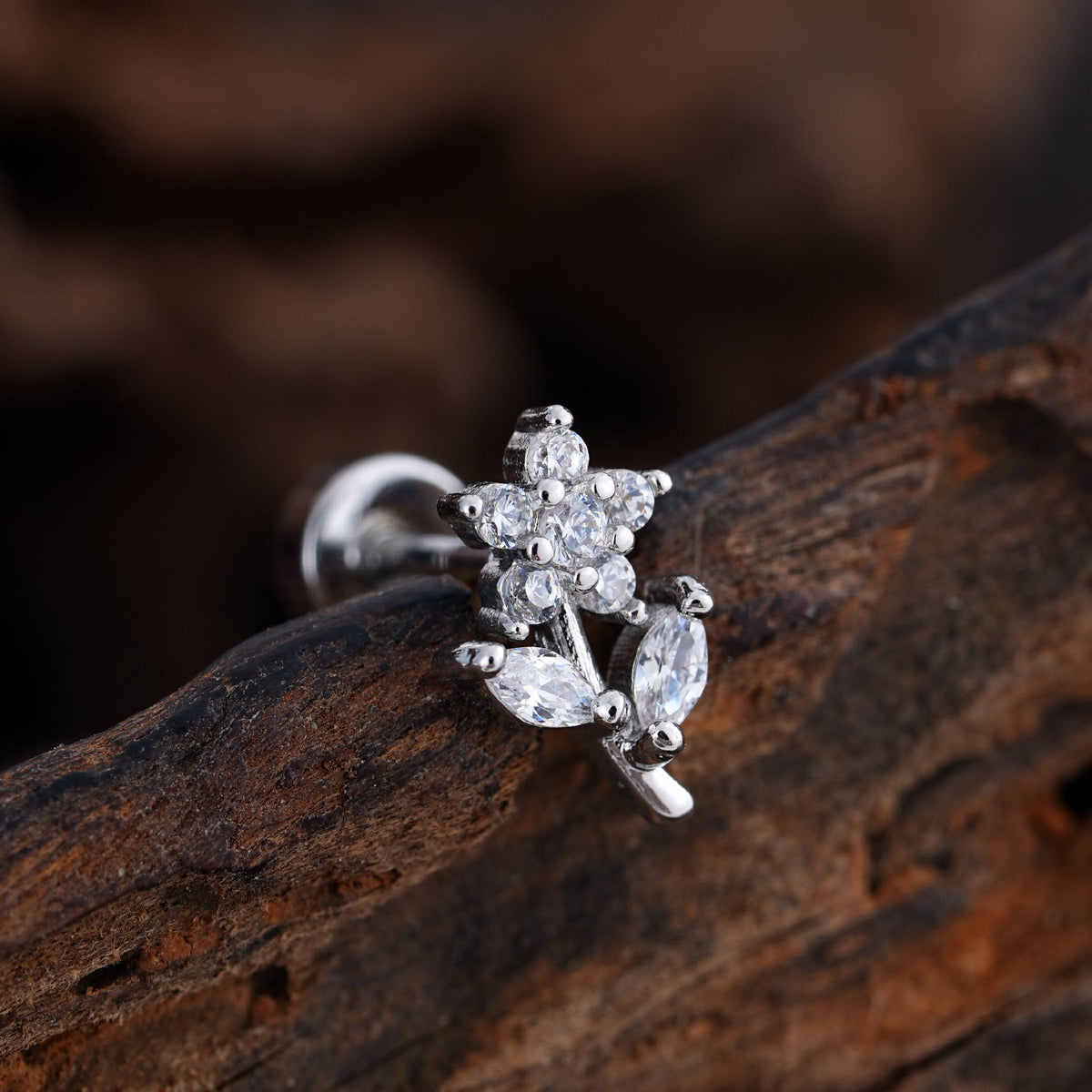 Enchanted Shine