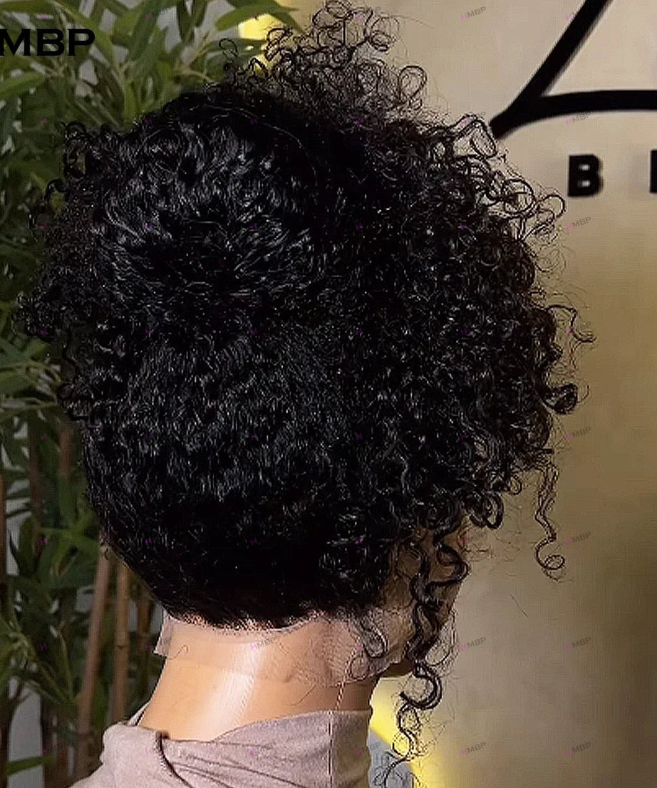 Glueless Lace Frontal Wig Human Hair Ready To Wear 400 Density Bouncy Curly 360/13x6 HD Lace Front Wig Preplucked Hair For Women